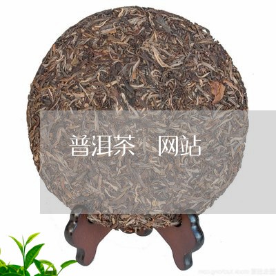 普洱茶 网站/2023042993680